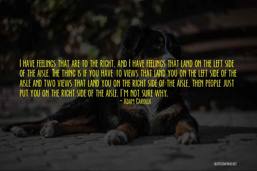 Left Side Right Side Quotes By Adam Carolla Left Side Right Side Quotes By Adam Carolla