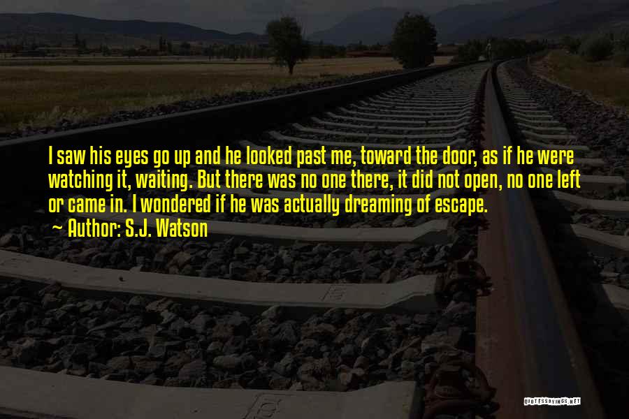 Left The Past Quotes By S.J. Watson