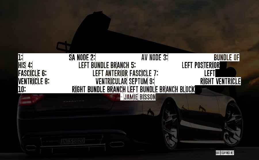 Left Ventricle Quotes By Jamie Bisson Left Ventricle Quotes By Jamie Bisson