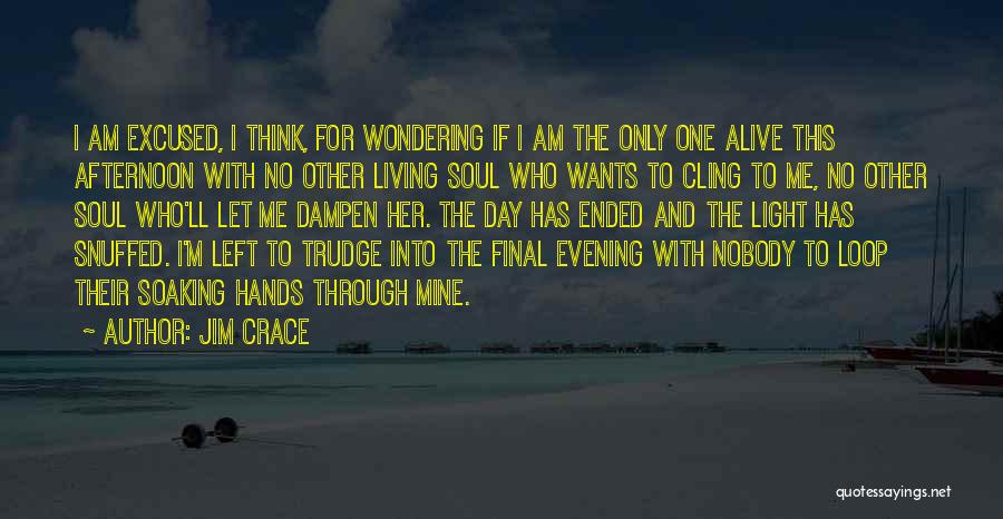 Left Wondering Quotes By Jim Crace