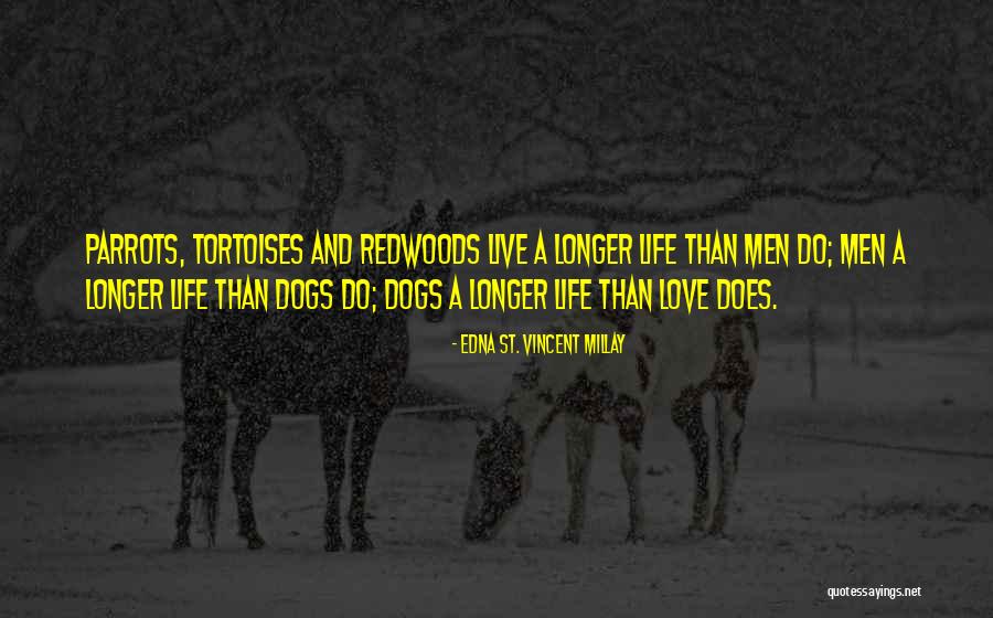 Lefteris Thornwood Quotes By Edna St. Vincent Millay Lefteris Thornwood Quotes By Edna St. Vincent Millay