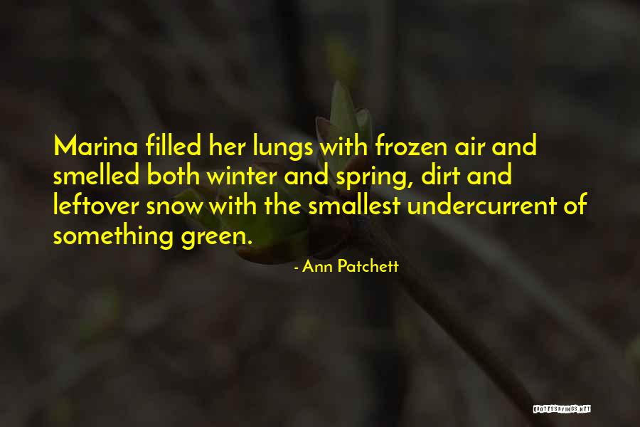 Leftover Quotes By Ann Patchett Leftover Quotes By Ann Patchett