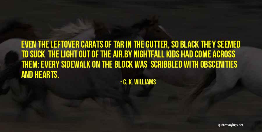 Leftover Quotes By C. K. Williams Leftover Quotes By C. K. Williams