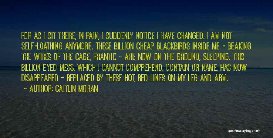 Leg Pain Quotes By Caitlin Moran