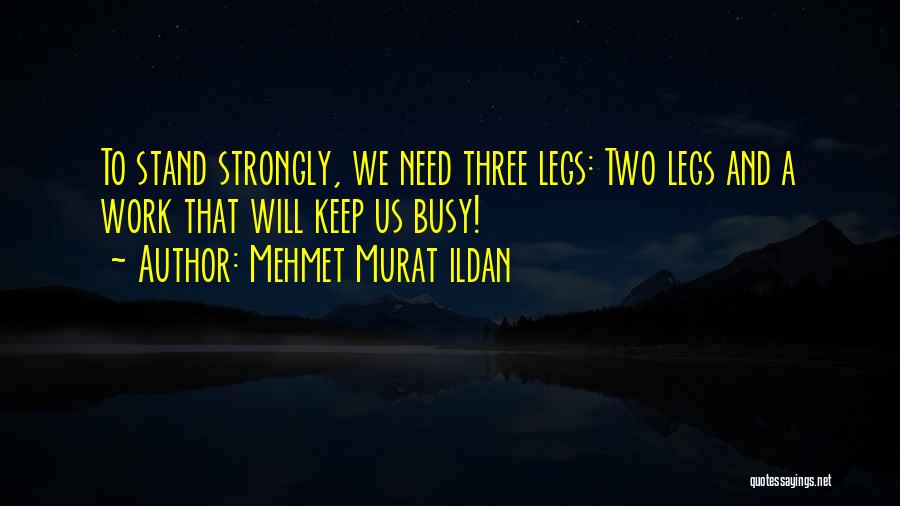 Leg To Stand On Quotes By Mehmet Murat Ildan
