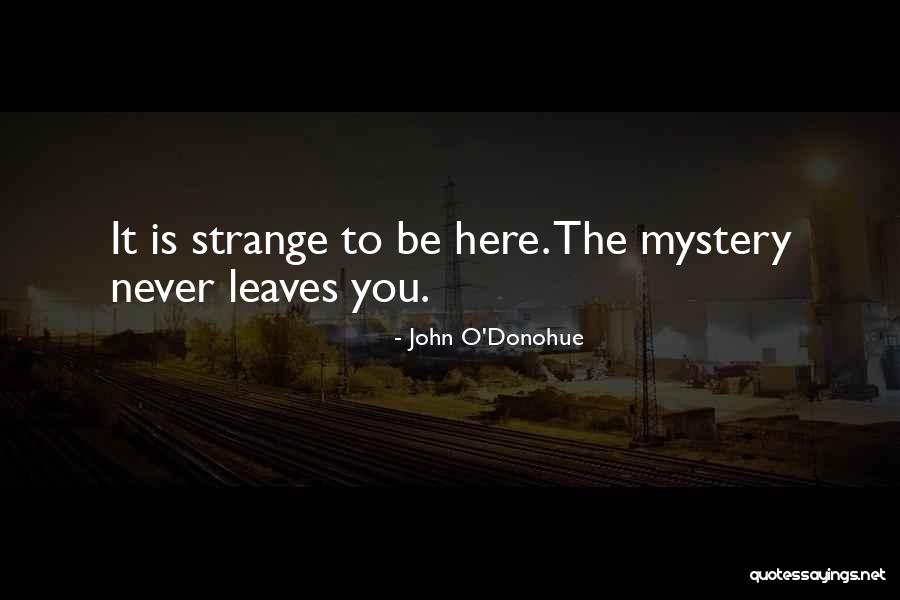 Legacies Posie Quotes By John O'Donohue Legacies Posie Quotes By John O'Donohue