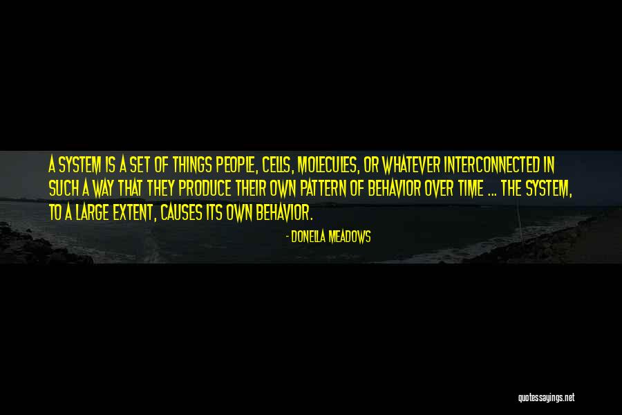 Legacy Lost Quotes By Donella Meadows