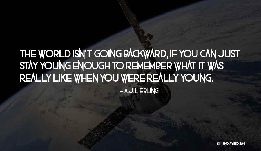 Legal And Judicial Systems Quotes By A.J. Liebling Legal And Judicial Systems Quotes By A.J. Liebling