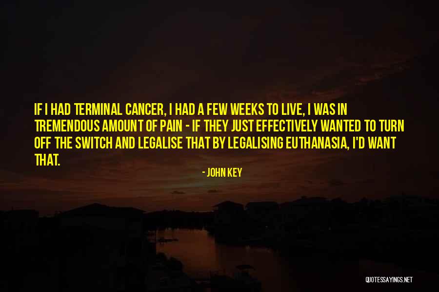 Legalising Euthanasia Quotes By John Key