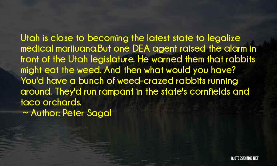 Legalize Quotes By Peter Sagal