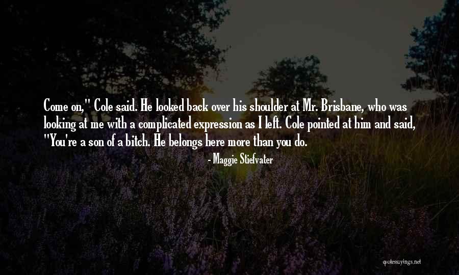Legea 31 1990 Quotes By Maggie Stiefvater Legea 31 1990 Quotes By Maggie Stiefvater