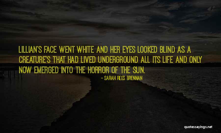 Legend Of The Guardians Ezylryb Quotes By Sarah Rees Brennan Legend Of The Guardians Ezylryb Quotes By Sarah Rees Brennan