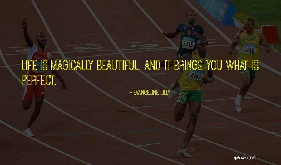 Legendario Definicion Quotes By Evangeline Lilly Legendario Definicion Quotes By Evangeline Lilly