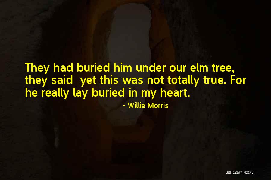 Legilimens Spell Quotes By Willie Morris Legilimens Spell Quotes By Willie Morris