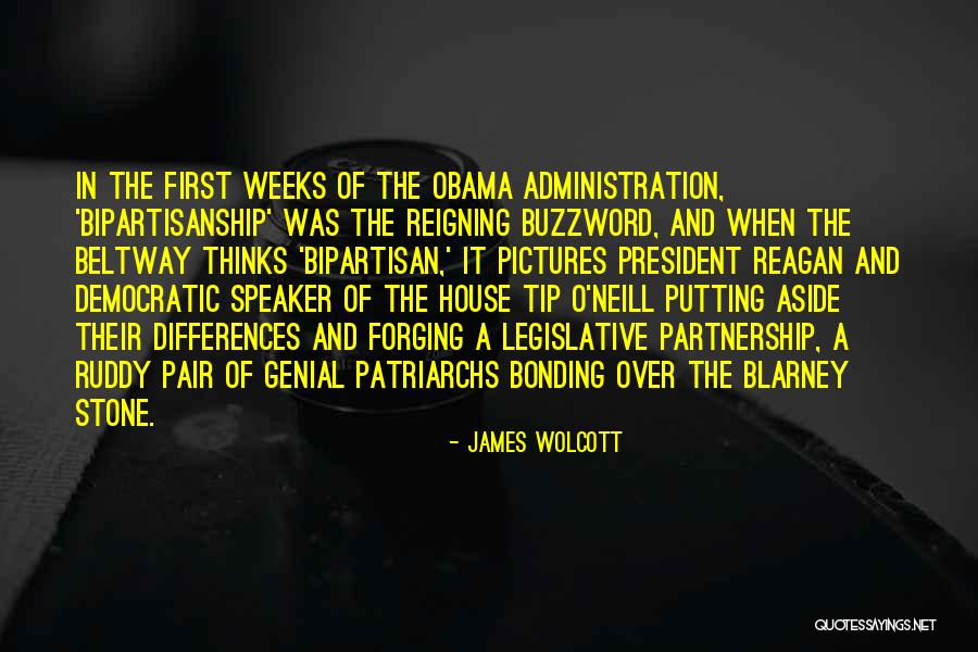 Legislative Quotes By James Wolcott