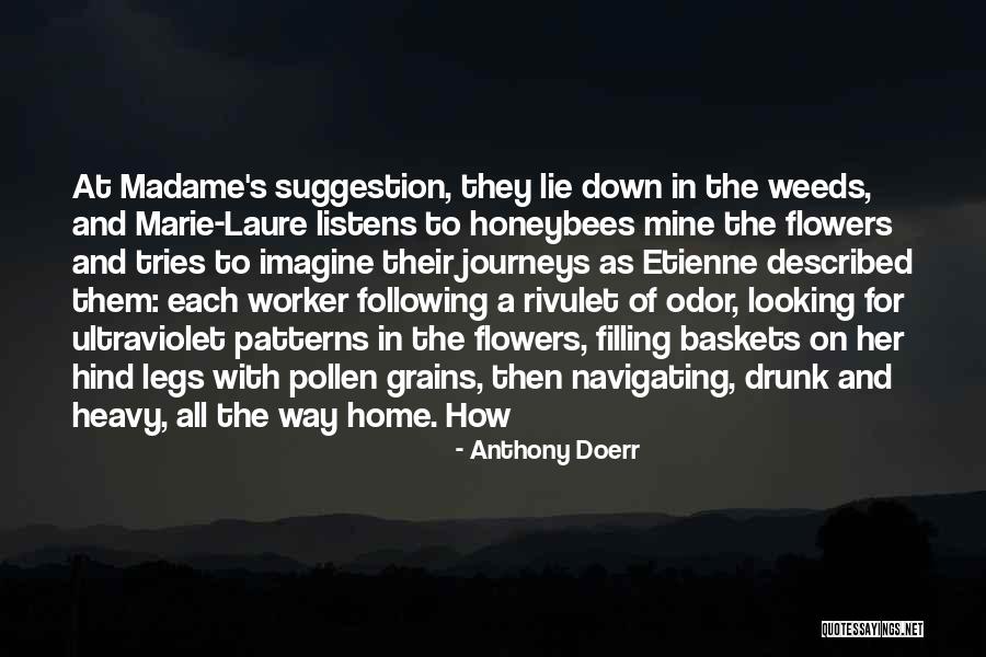 Legitimized Synonym Quotes By Anthony Doerr Legitimized Synonym Quotes By Anthony Doerr