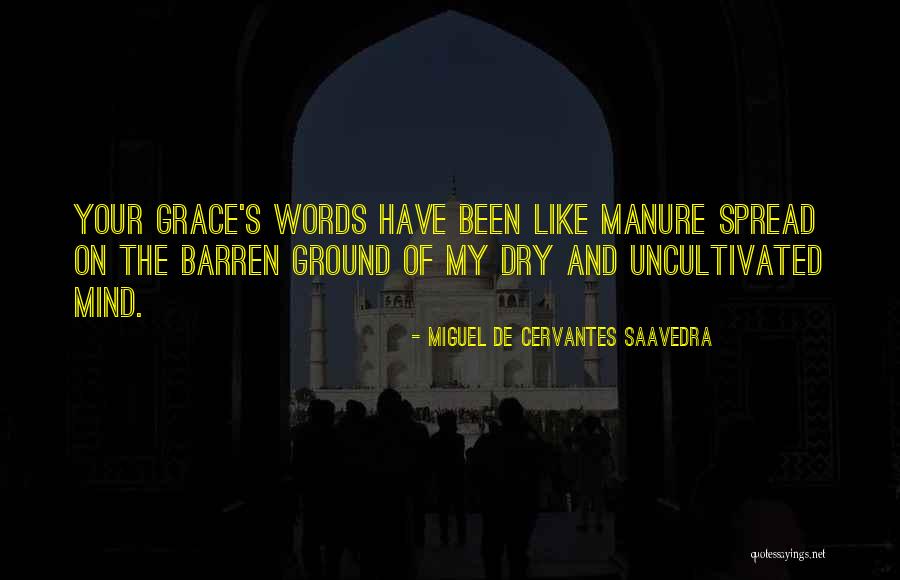 Legitimo Sinonimo Quotes By Miguel De Cervantes Saavedra Legitimo Sinonimo Quotes By Miguel De Cervantes Saavedra