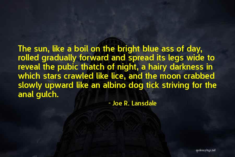 Legs Day Quotes By Joe R. Lansdale