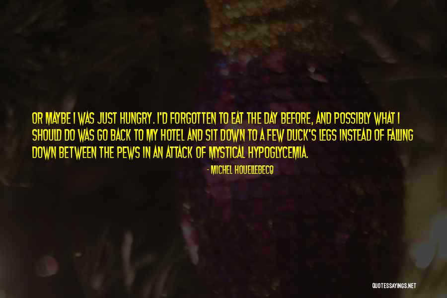 Legs Day Quotes By Michel Houellebecq Legs Day Quotes By Michel Houellebecq