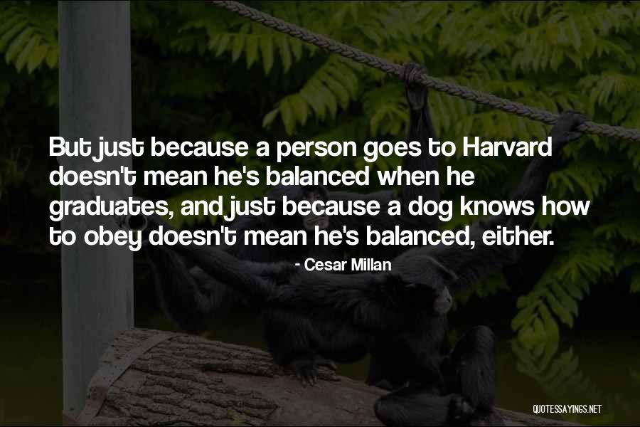 Legszebb Szerelmes Quotes By Cesar Millan Legszebb Szerelmes Quotes By Cesar Millan