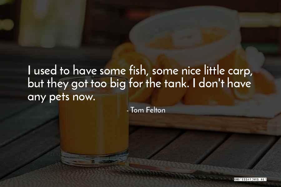 Lehanes Bus Quotes By Tom Felton Lehanes Bus Quotes By Tom Felton