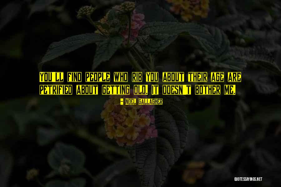 Lehine Nedir Quotes By Noel Gallagher Lehine Nedir Quotes By Noel Gallagher