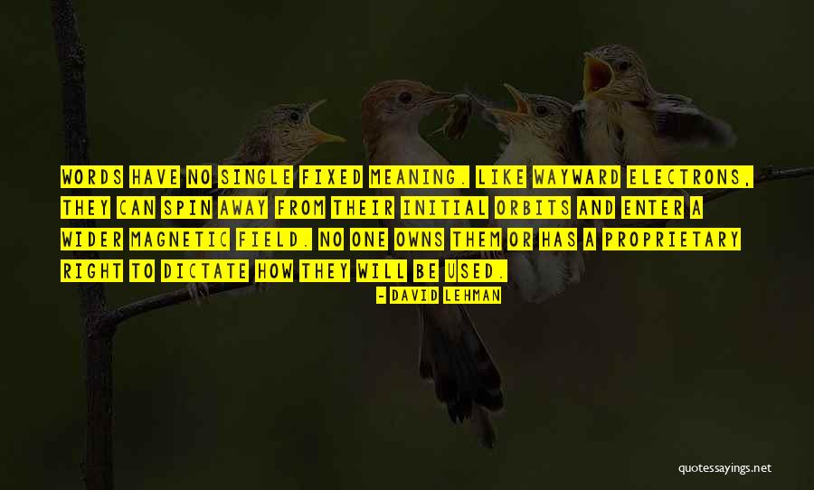 Lehman Quotes By David Lehman Lehman Quotes By David Lehman