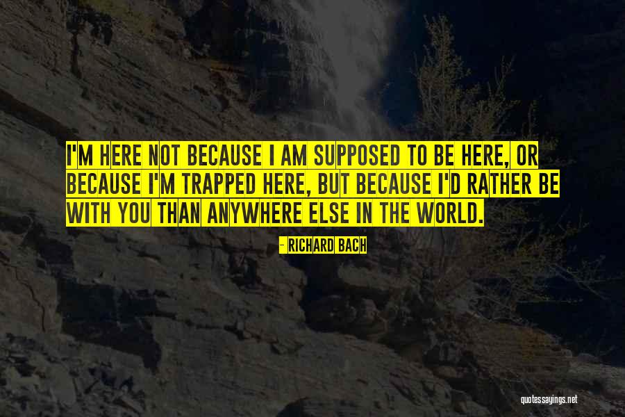 Lehmiller Hardware Quotes By Richard Bach Lehmiller Hardware Quotes By Richard Bach