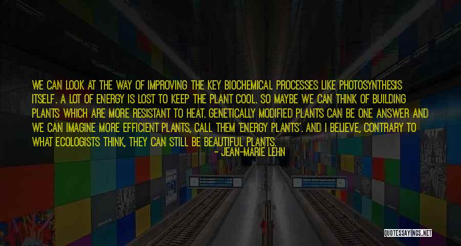 Lehn Quotes By Jean-Marie Lehn Lehn Quotes By Jean-Marie Lehn