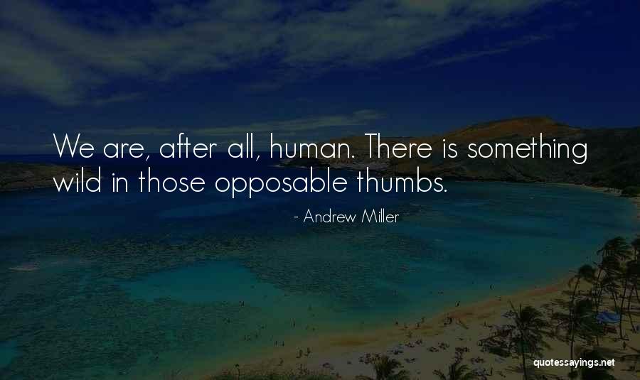 Lehrfeld 911 Quotes By Andrew Miller Lehrfeld 911 Quotes By Andrew Miller