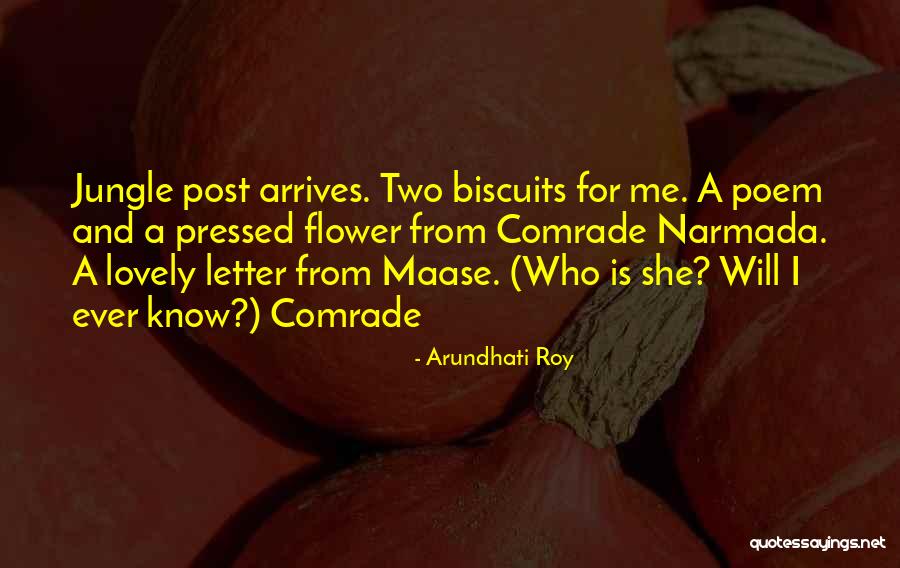 Lehtomaa Funeral Home Quotes By Arundhati Roy Lehtomaa Funeral Home Quotes By Arundhati Roy
