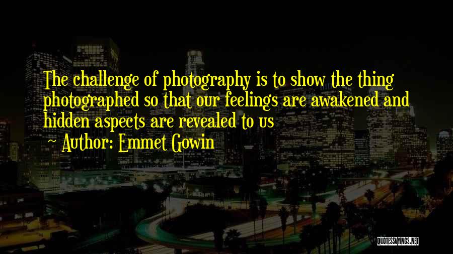 Leibaite Quotes By Emmet Gowin