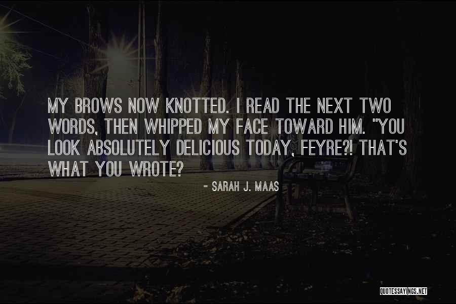 Leichter Tray Quotes By Sarah J. Maas Leichter Tray Quotes By Sarah J. Maas