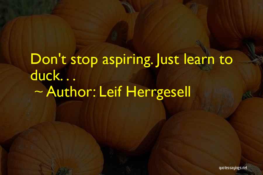 Leif Herrgesell Quotes 1144067