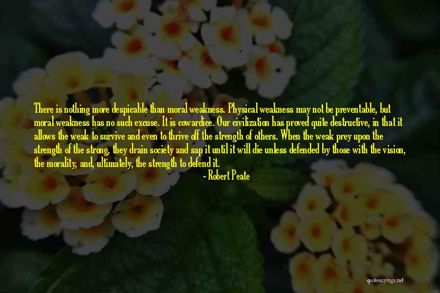 Leifi Boost Quotes By Robert Peate Leifi Boost Quotes By Robert Peate