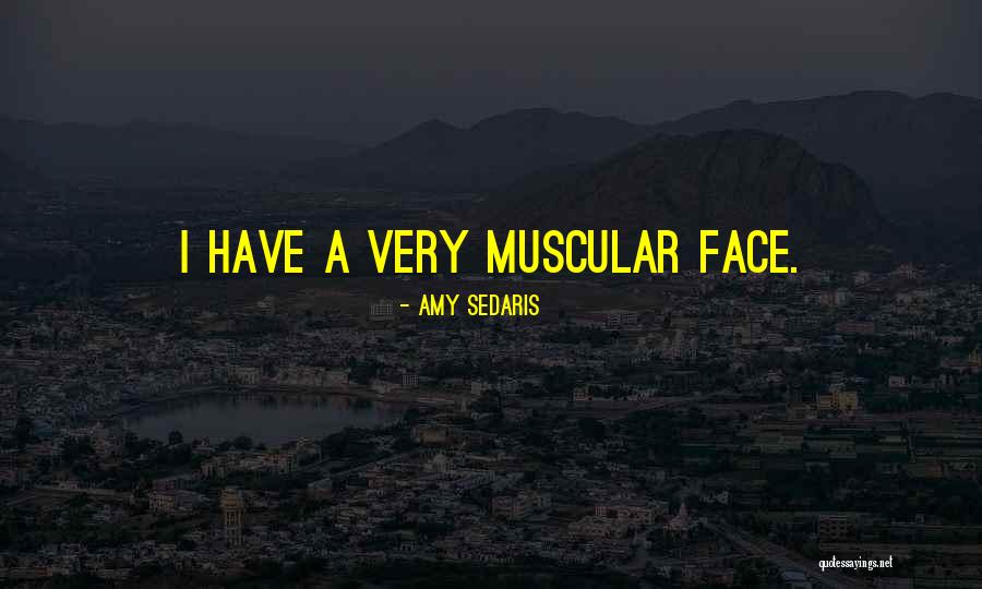 Leighland Snow Quotes By Amy Sedaris Leighland Snow Quotes By Amy Sedaris