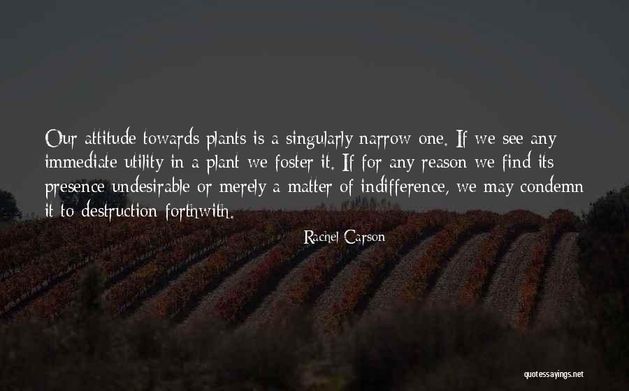 Leighton Atwood Quotes By Rachel Carson Leighton Atwood Quotes By Rachel Carson