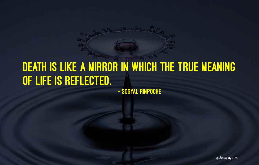 Leilighet Gran Quotes By Sogyal Rinpoche Leilighet Gran Quotes By Sogyal Rinpoche