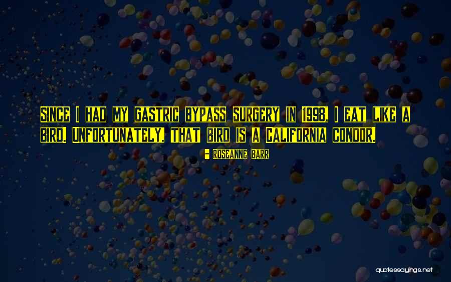 Leinster House Quotes By Roseanne Barr Leinster House Quotes By Roseanne Barr
