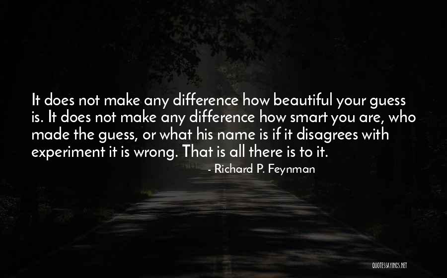 Leipheimer Schloss Quotes By Richard P. Feynman Leipheimer Schloss Quotes By Richard P. Feynman