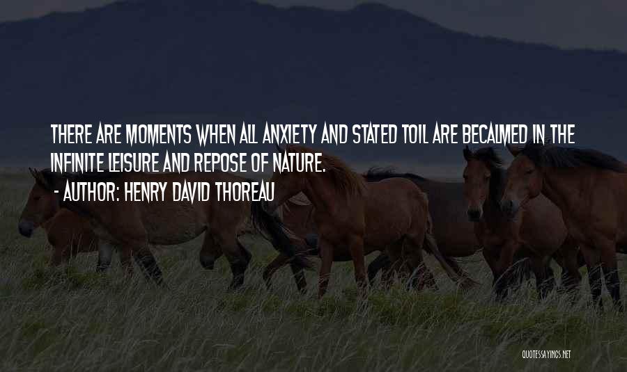 Leisure Moments Quotes By Henry David Thoreau