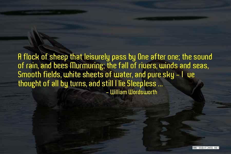 Leisurely Quotes By William Wordsworth