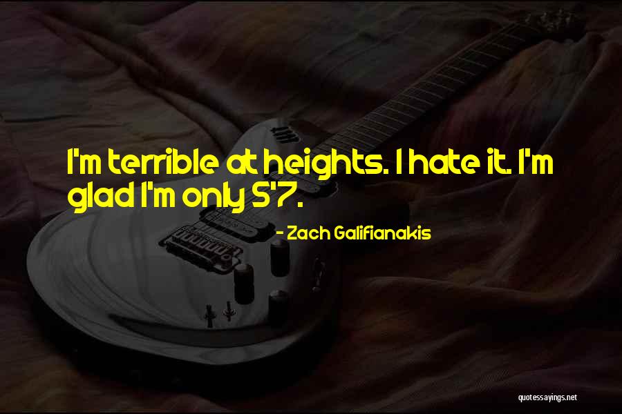 Leita Andvik Quotes By Zach Galifianakis Leita Andvik Quotes By Zach Galifianakis