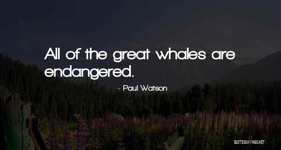 Lekayda Quotes By Paul Watson Lekayda Quotes By Paul Watson