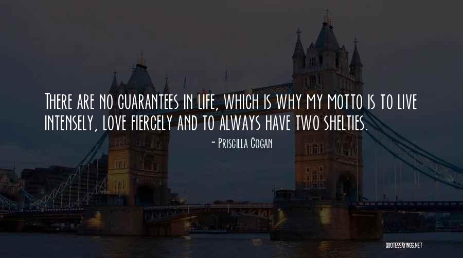 Lektronics Quotes By Priscilla Cogan Lektronics Quotes By Priscilla Cogan