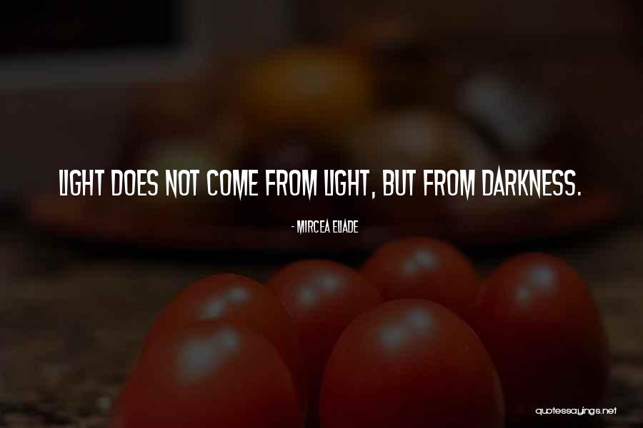 Lelacheur Family Quotes By Mircea Eliade Lelacheur Family Quotes By Mircea Eliade