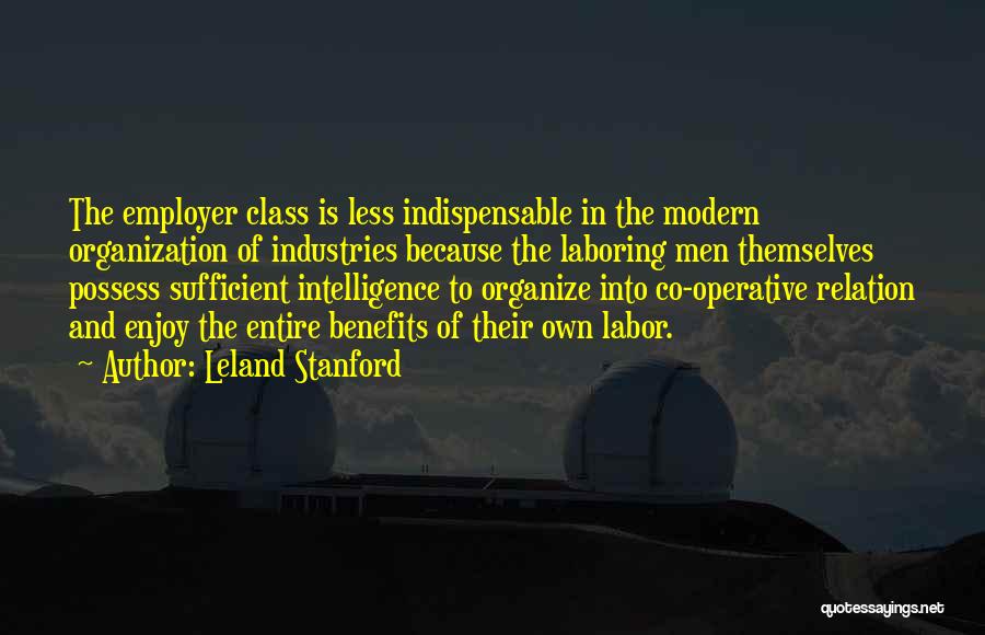 Leland Stanford Quotes 1857579