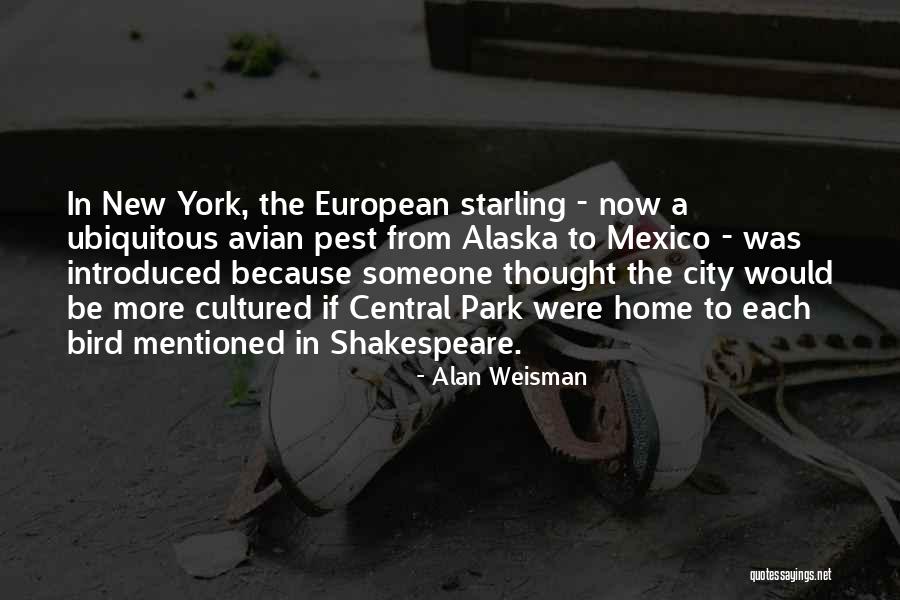 Leleti Quotes By Alan Weisman Leleti Quotes By Alan Weisman