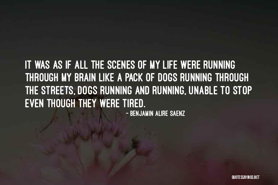 Lelia Quotes By Benjamin Alire Saenz Lelia Quotes By Benjamin Alire Saenz