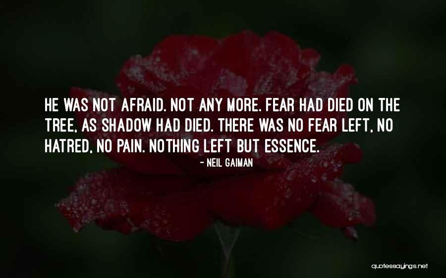 Lelia Quotes By Neil Gaiman Lelia Quotes By Neil Gaiman